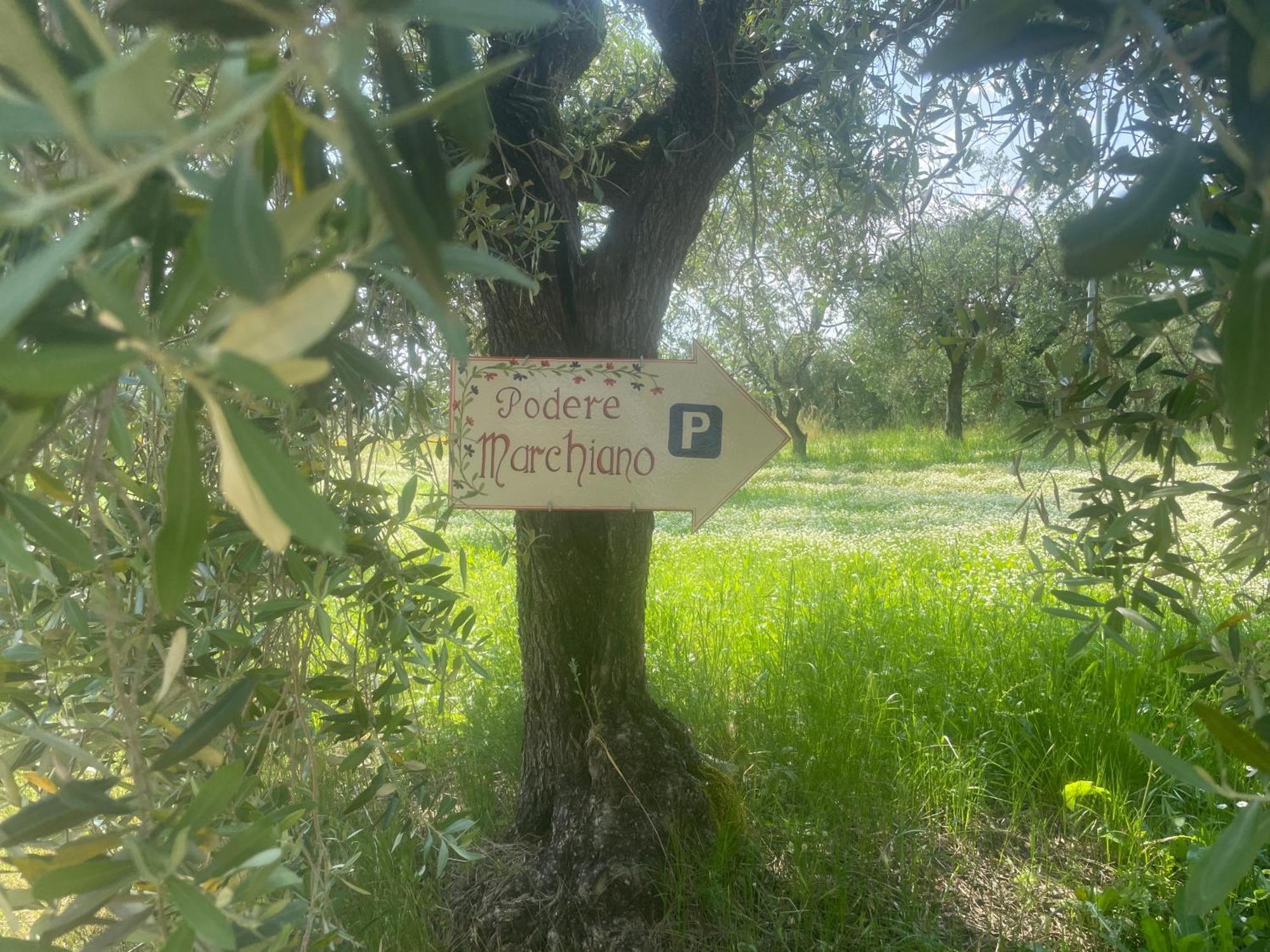 Agriturismo Podere Marchiano Larciano Extérieur photo